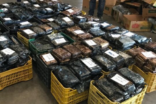 200 kg kokainë dhe 1 ton kanabis: bilanci i hetimeve të Antimafias