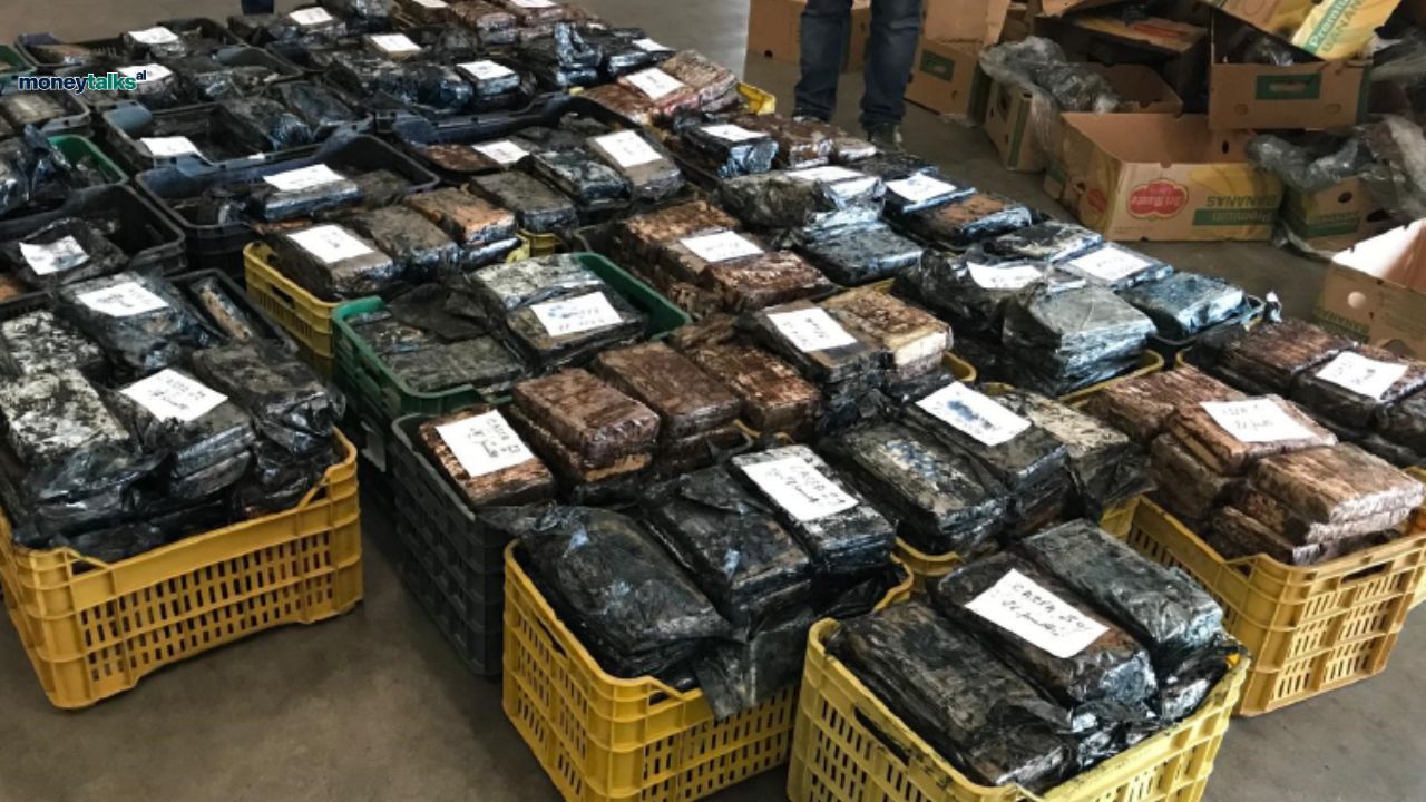 200 kg kokainë dhe 1 ton kanabis: bilanci i hetimeve të Antimafias