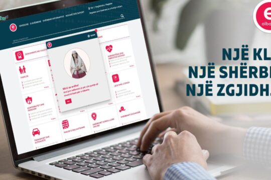Më shumë punonjës, më shumë fonde, por më pak funksionalitet në e-qeverisje
